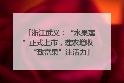 浙江武义：“水果莲”正式上市，莲农增收“致富果”注活力